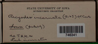 Image Associated With the Occurence